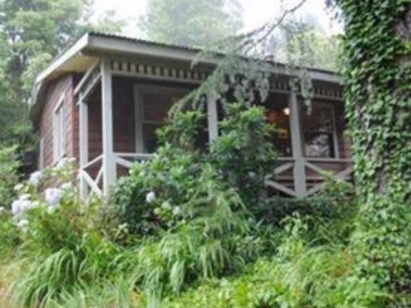 Bygone Beautys Cottages Leura Εξωτερικό φωτογραφία